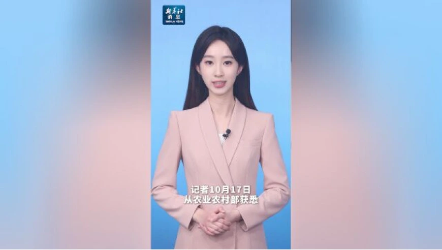 新华社消息丨全国秋粮收获过七成