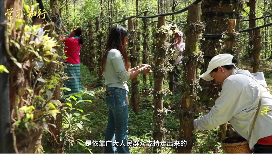 学习·知行丨向着光荣和梦想，接力！