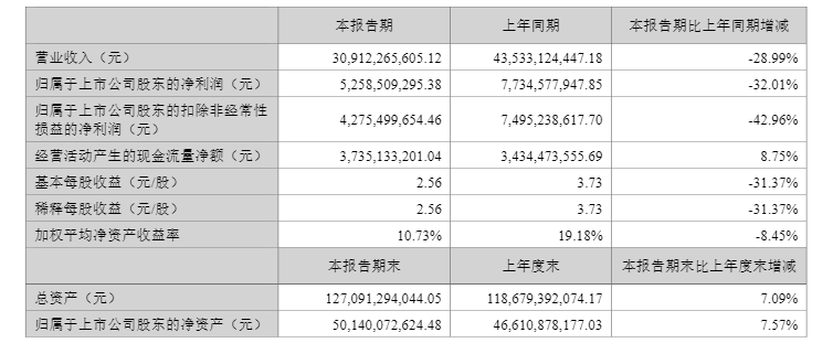 光伏逆变器龙头，业绩承压