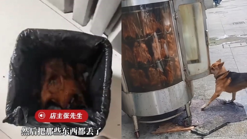 浙江烤鴨店烤爐遭狗隻舔食 店主銷毀27隻鴨通報市監部門 - 星島日報